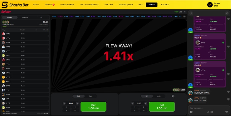 ShashaBet review Zimbabwe
