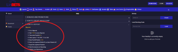 Linbets Zimbabwe Payments
