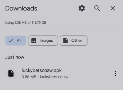 Downloaded LuckyBets APK package installer
